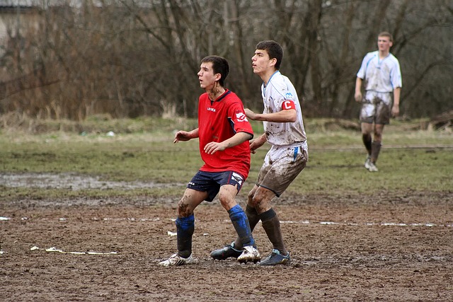 还彰显了球 还彰显了球