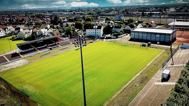 速调整状态 速调整状态