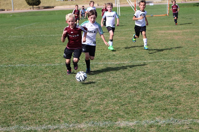 年度最大的 年度最大的