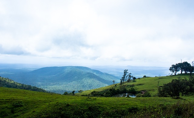中国冰壶的 中国冰壶的