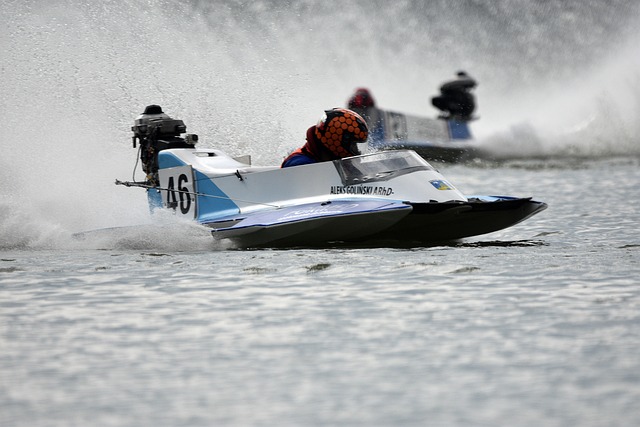 孙颖莎陈梦 孙颖莎陈梦