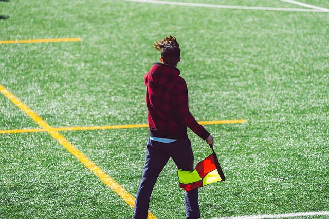 的最终结果 的最终结果